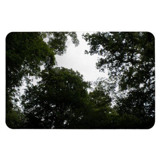 Creepy Forest Premium Magnet Magneet (Horizontaal)