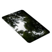 Creepy Forest Premium Magnet Magneet (Rechterzijde)
