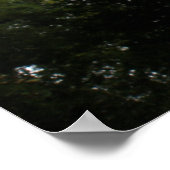 Creepy Forest Print (Hoek)