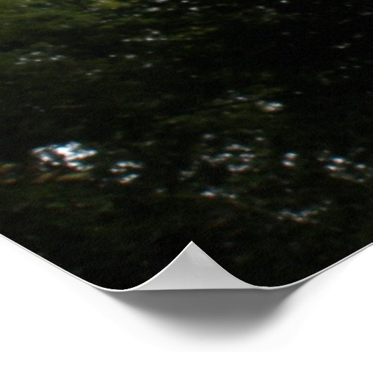 Creepy Forest Print (Hoek)