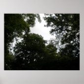 Creepy Forest Print (Voorkant)