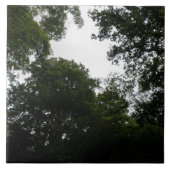 Creepy Forest Tile Tegeltje (Voorkant)