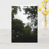 Creepy Forest Wenskaart Kaart (Gele Bloem)