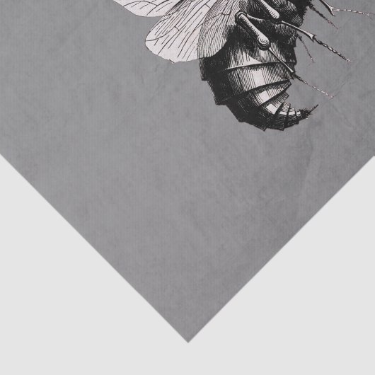 Creepy Gothic Bee Skull Wings Insect Tissuepapier (Detail)
