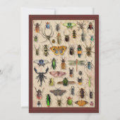 Creepy Halloween Party | Fun Bug Insect Collectie Kaart (Achterkant)