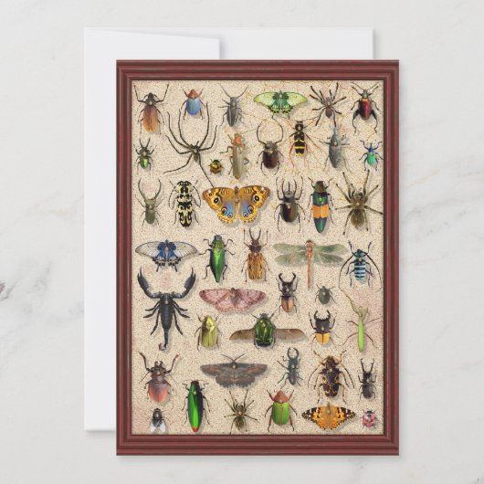 Creepy Halloween Party | Fun Bug Insect Collectie Kaart (Achterkant)