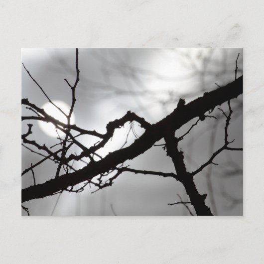 Creepy Halloween Silhouette Branches Mist & Sun Briefkaart (Voorkant)