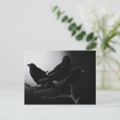 Creepy Ravens in het Briefkaart Moonlight (Staand voorkant)