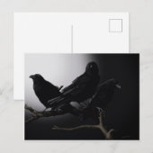 Creepy Ravens in het Briefkaart Moonlight (Voorkant / Achterkant)