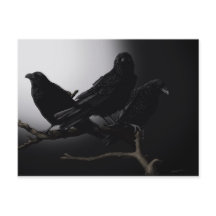 Creepy Ravens in het Briefkaart Moonlight