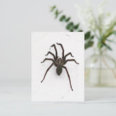 Creepy Spider Briefkaart (Staand voorkant)