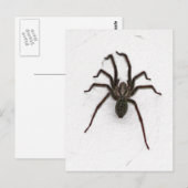 Creepy Spider Briefkaart (Voorkant / Achterkant)