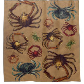 Creepy Spider Crabs Sand Background Douchegordijn (Voorkant)