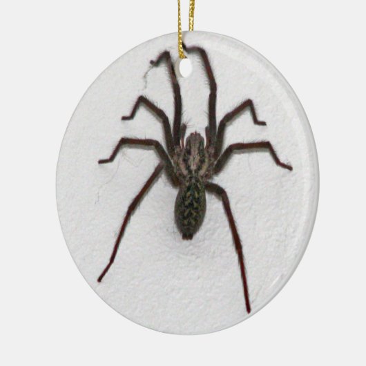 Creepy Spider Keramisch Ornament (Links)
