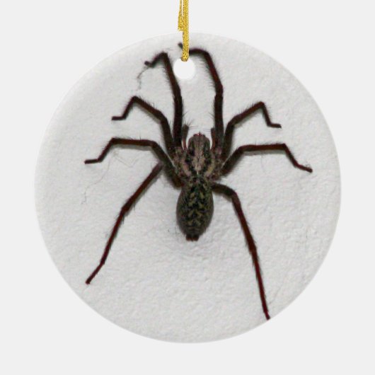 Creepy Spider Keramisch Ornament (Achterkant)
