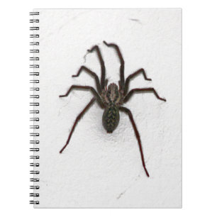 Creepy Spider Notitieboek