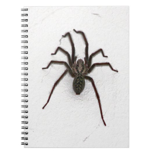 Creepy Spider Notitieboek (Voorkant)
