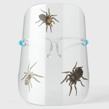 Creepy Spiders Halloween