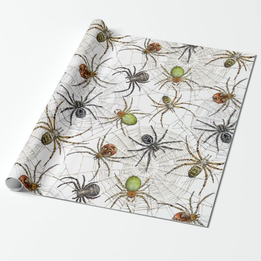 Creepy Spiders Web Pattern Cadeaupapier (Uitgerold)