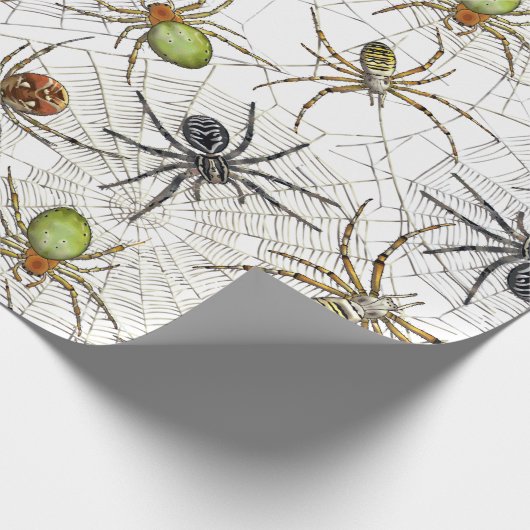 Creepy Spiders Web Pattern Cadeaupapier (Hoek)