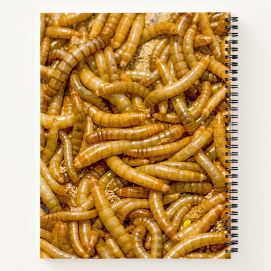 Creepy Worms Horror Notitieboek (Achterkant)