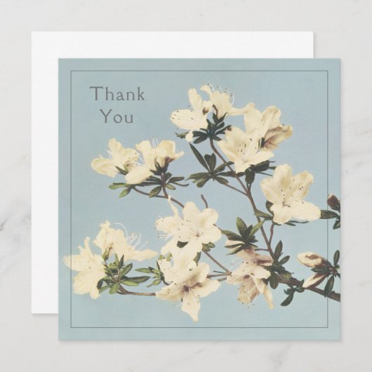 Crème Azalea Bloemen Bedankkaart (Voorkant / Achterkant)