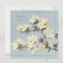 Crème Azalea Bloemen Bedankkaart