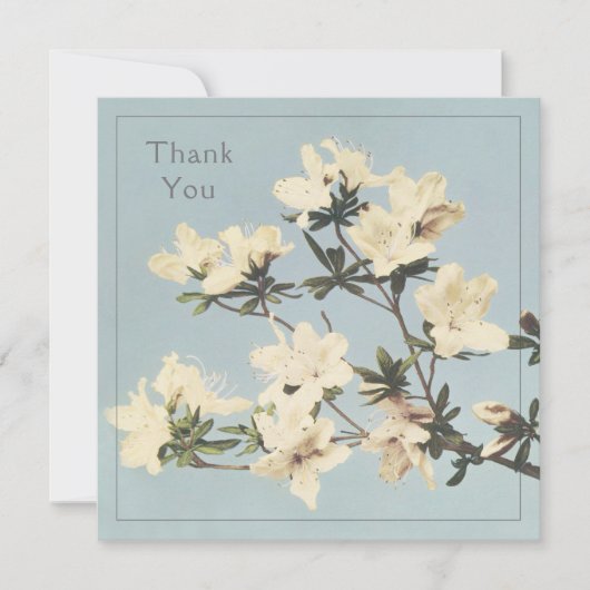 Crème Azalea Bloemen Bedankkaart (Voorkant)