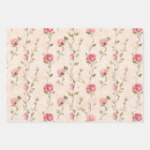 Crème Blush Roze Rozen Bloemig Bruiloftsfeest Inpakpapier Vel (Voorkant 2)