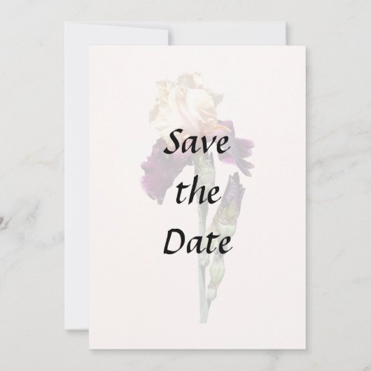 Crème en Maroon Iris en Buds Save The Date (Achterkant)