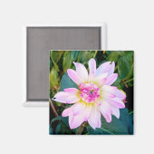 Crème en roze bloem magneet (Voorkant / Achterkant)