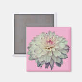 Crème en roze bloem magneet (Voorkant / Achterkant)