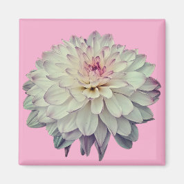 Crème en roze bloem magneet