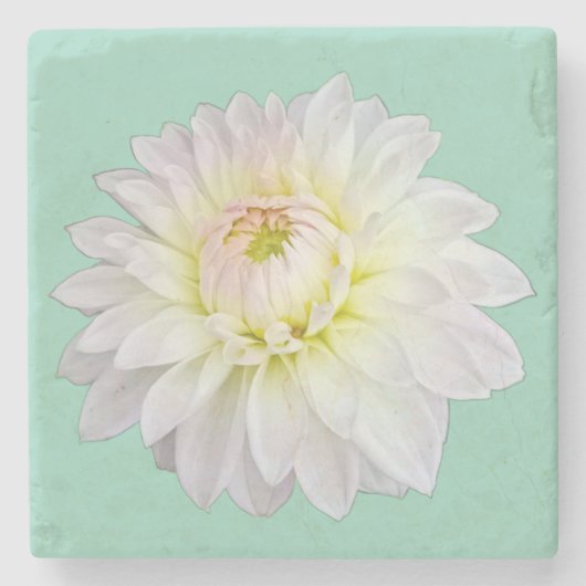 Crème en roze bloem stenen onderzetter (Voorkant)
