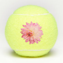 Crème en roze bloem