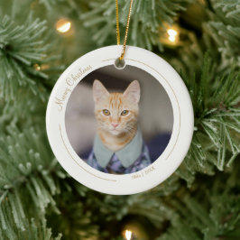 Crème Goud Elegante Minimalistische Kerstmis Pet F Keramisch Ornament