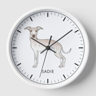 Crème Italiaanse Greyhound Lieve Hond Met Aangepas