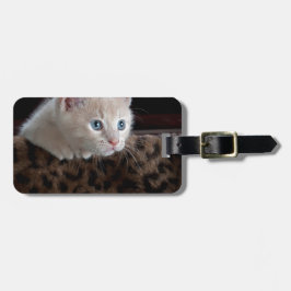 Crème Kitten Met Mooie Blauwe Ogen Bagagelabel