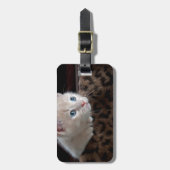 Crème Kitten Met Mooie Blauwe Ogen Bagagelabel (Voorkant verticaal)