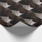 Crème Kitten Met Mooie Blauwe Ogen Cadeaupapier (Hoek)