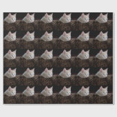 Crème Kitten Met Mooie Blauwe Ogen Cadeaupapier (Vlak)