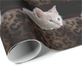 Crème Kitten Met Mooie Blauwe Ogen Cadeaupapier (Rol Hoek)