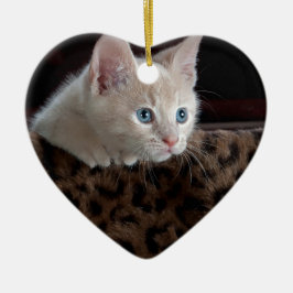 Crème Kitten Met Mooie Blauwe Ogen Keramisch Ornament