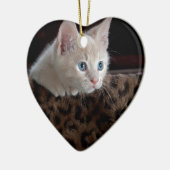 Crème Kitten Met Mooie Blauwe Ogen Keramisch Ornament (Links)
