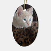 Crème Kitten Met Mooie Blauwe Ogen Keramisch Ornament (Links)
