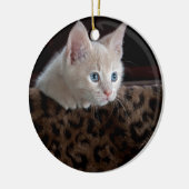 Crème Kitten Met Mooie Blauwe Ogen Keramisch Ornament (Links)