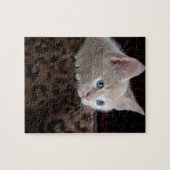 Crème Kitten Met Mooie Blauwe Ogen Legpuzzel (Horizontaal)