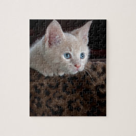 Crème Kitten Met Mooie Blauwe Ogen Legpuzzel