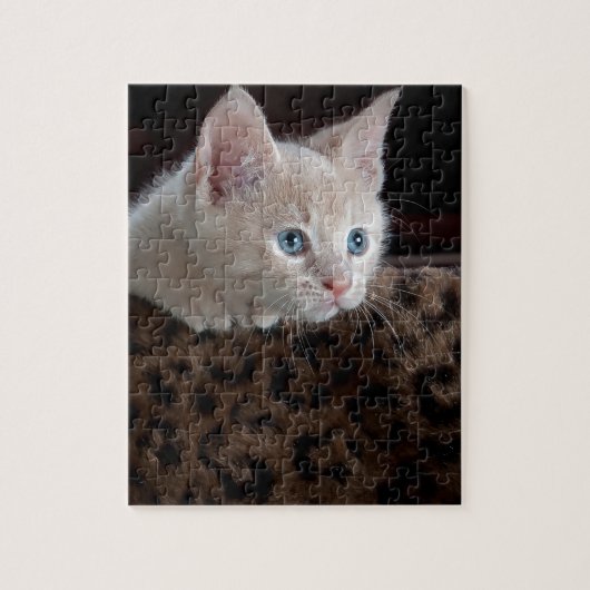 Crème Kitten Met Mooie Blauwe Ogen Legpuzzel (Verticaal)