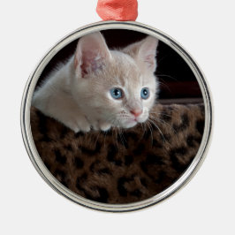 Crème Kitten Met Mooie Blauwe Ogen Metalen Ornament